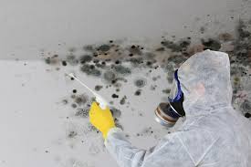 Best Air Quality Testing for Mold Spores  in Pleasanton, TX